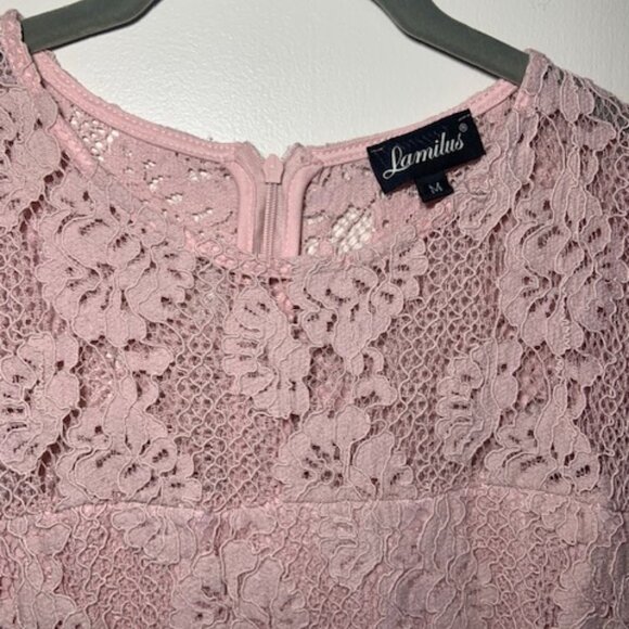 Lamilus Soft Pink Lace Crochet Floral Wedding Cocktail Party Dress - Size M - Picture 3 of 8